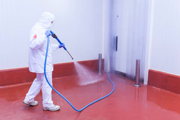 Professional Pressure Washing in Cisco, TX